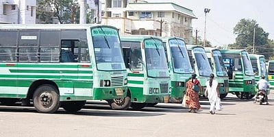 தொடர் விடுமுறை: சிறப்புப் பேருந்துகள் அறிவிப்பு!